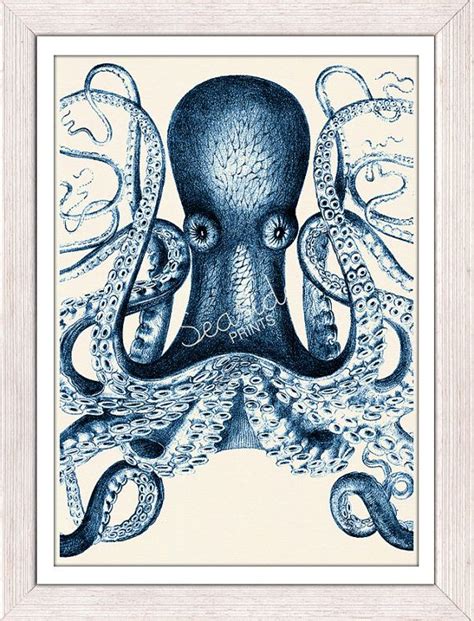 Vintage Octopus N 16 Sea Life Print Marine Sea Life