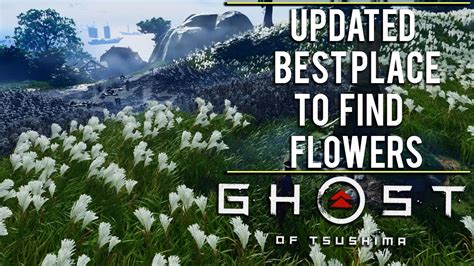 Updated Best Place To Find Flowers Guide Ghost Of Tsushima Gameplay