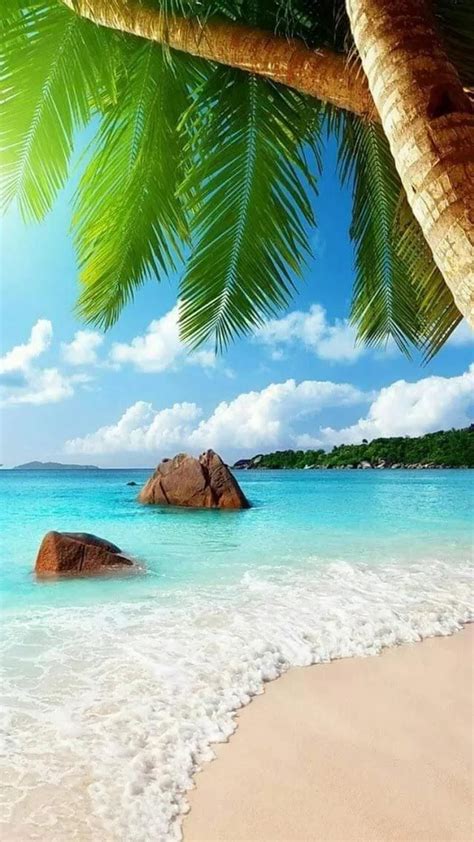 Plage Paradisiaque Voyage Onirique Beach Wallpaper Beach Photos