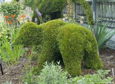 Maybe you would like to learn more about one of these? Topiary Design in Fun Animal Shapes