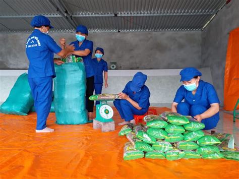 Quầy thuốc số 7, ds hoàng thị hiền. Người đưa miến dong Bắc Kạn xuất khẩu sang Séc