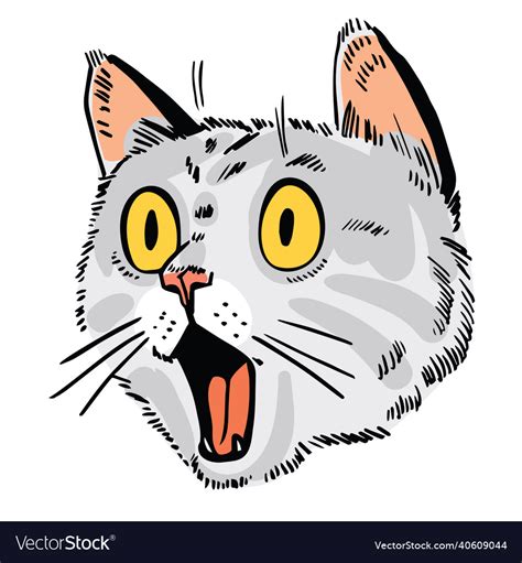 Face Of Surprised Cat Cat Portrait Drawing Vector Image