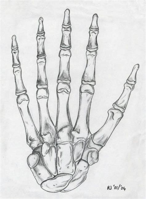 Skeleton Hand Skeleton Drawings Skeleton Hands Drawing Bone Drawing