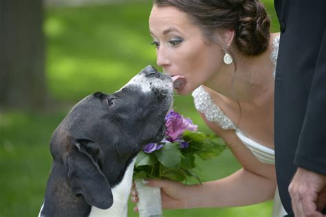 A Bride And Her Dog Danifinephoto She Dog Dogs Bride