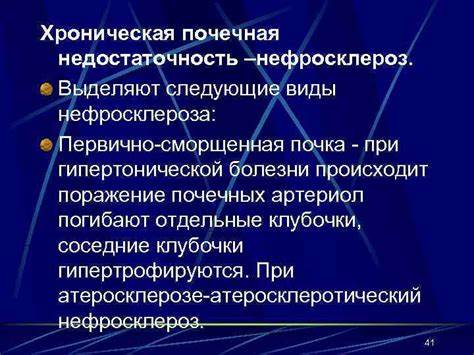 Что такое нефросклероз диета