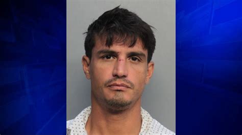 Alleged Hit And Run Driver Arrested After Hitting Miami Bus Bench 1 Transported Wsvn 7news
