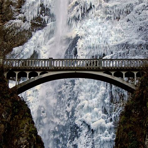 1000 Images About Bridges In Winter Wonderland On Pinterest Gardens