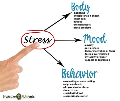 5 Helpful Tips To Help You Manage Stress Bioactive Nutrients