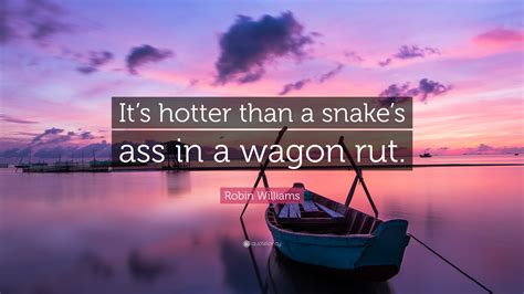 Robin Williams Quote Its Hotter Than A Snakes Ass In A Wagon Rut