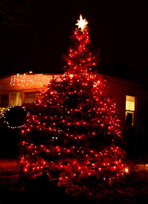 Christmas decorating holiday decorating christmas design 101 christmas trees. 22 Best Outdoor Christmas Tree Decorations and Designs for 2017