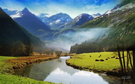 We hope you enjoy our variety and growing collection of hd. Nature Wallpapers Full Screen Free - WallpaperSafari