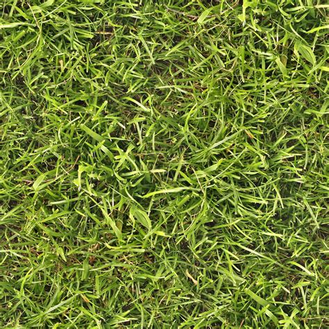 Grass Textures Seamless Textures Plant Texture