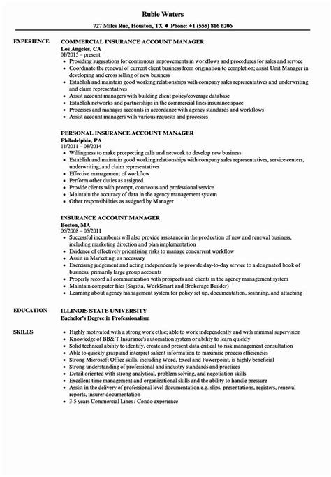 Actionable examples of how to write an account executive resume. 30 Account Manager Job Description for Resume | Sales ...