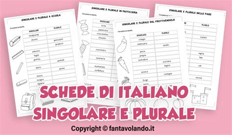 Schede Didattiche Di Italiano Nomi Singolari E Plurali Fantavolando
