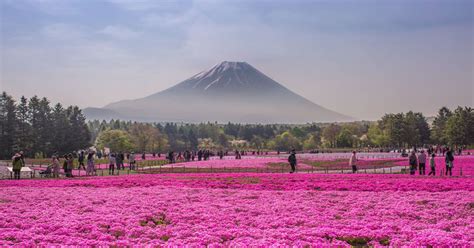 15 Places That Will Make Japan Your Dream Travel Destination