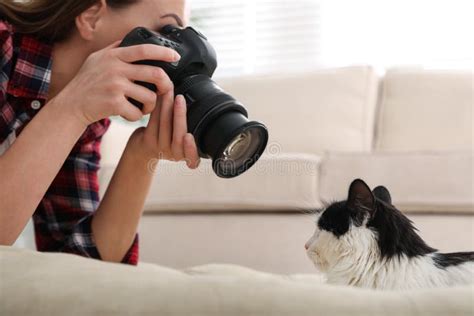 Professional Animal Photographer Taking Picture Of Cat At Home Stock