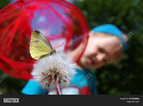 Child Butterfly Boy Image And Photo Free Trial Bigstock