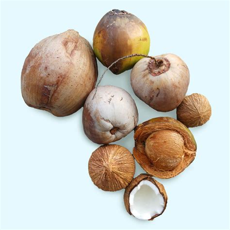 Thai Coconut Bunch