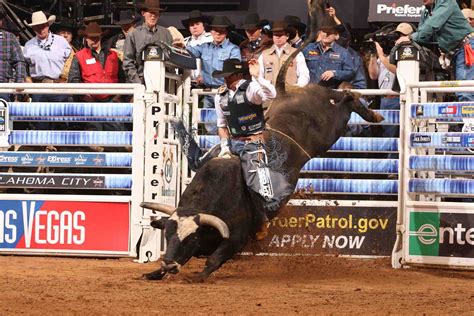 Bull Riding Bullrider Rodeo Western Cowboy Extreme Cow 2 