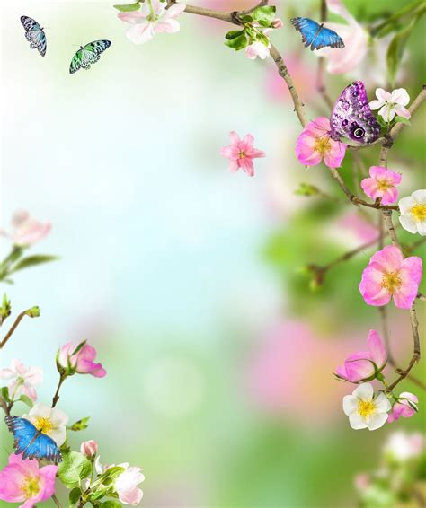 Spring Backdrop Pink Flowers And Butterfly Valentine Printed