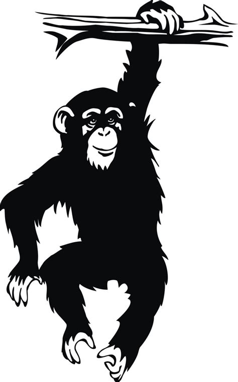 Monkey Chimp Vinyl Wall Art Decals Funny Sticker Tropical Etsy