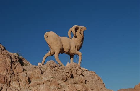 Fotos Gratis Paisaje Desierto Viajar Estatua Cabra Camello