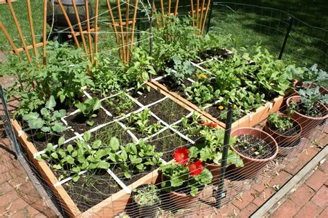 24 Square Foot Garden Planting Ideas You Cannot Miss Sharonsable
