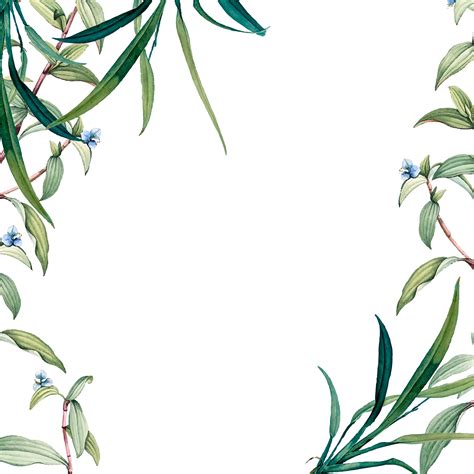 Green plant border  Download Free Vectors, Clipart Graphics & Vector Art