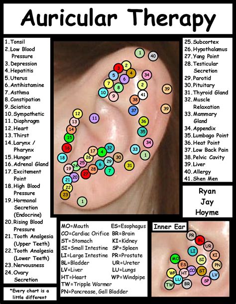 Auricular Ear Acupuncture Points Chart