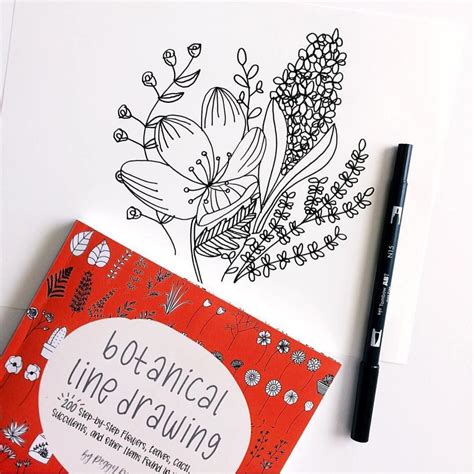 Botanical Line Drawing Flower Drawing Botanical Art Hand Lettering