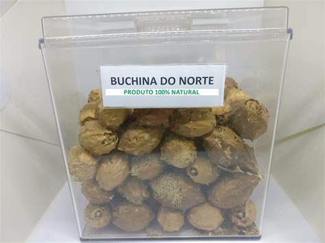 Buchinha Do Norte Cha