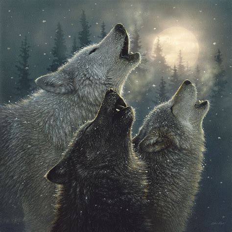 Howling Wolves - In Harmony - Image Conscious