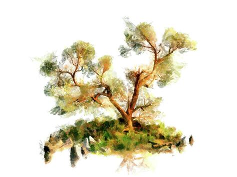 Minimalist Landscape Pinyon Pine Digital Art By Sean Murphy Fine Art