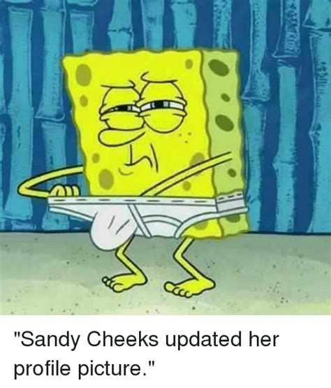 Sandy Cheeks Updated Her Profile Picture Meme On Meme