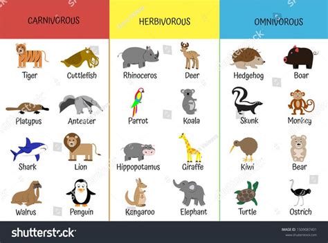 Animals can be put into groups based on the types of food they eat. Carnivores, herbivores, omnivores. Animals by category ...