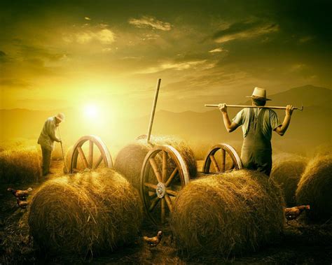 Best harvest wallpaper, desktop background for any computer, laptop, tablet and phone. Farmer Wallpapers - Wallpaper Cave