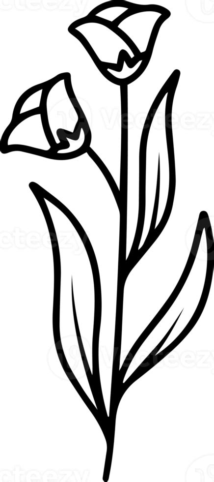 Flowers Sketch Line Art Illustration 10863454 Png