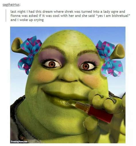 Bishreksual Cartoon Memes Shrek Memes Shrek