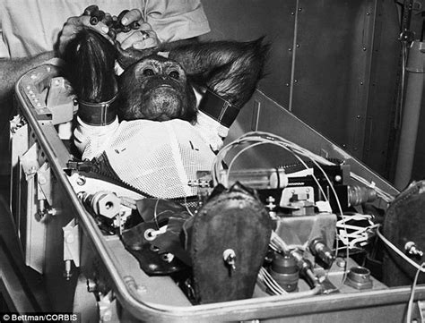 Enos the Nasa Chimp | Hankering for History