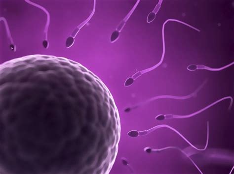 How To Increase Sperm Without Pills Livestrongcom