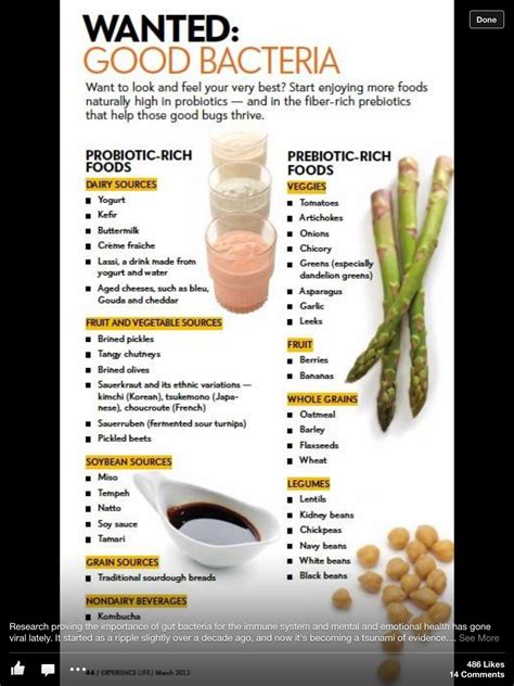 Best probiotic brands for gut health. Best 25+ Foods with probiotics ideas on Pinterest | Gut ...
