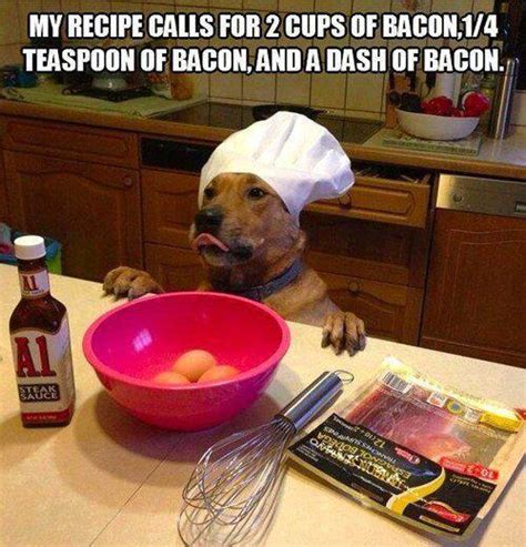 Dog Chef Bacon