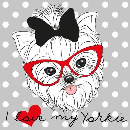 43+ Free Yorkie Svg Background Free SVG files | Silhouette and Cricut