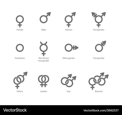 Gender Symbol Icons Royalty Free Vector Image Vectorstock