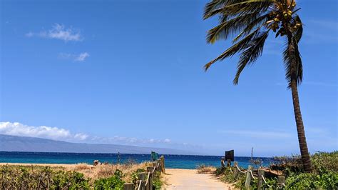 Honua Kai Resort Luxury Vacation Rental In West Maui Maui Westside
