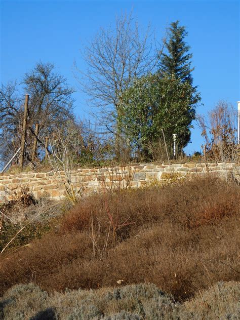 Dann wachsen und gedeihen gemüse, obst, kräuter, rasen, büsche und bäume bis in den sommer hinein heran. Der Garten im Januar...