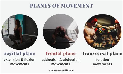 The Essential Movements Of Every Training Program