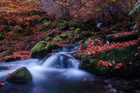 Wallpaper Autumn Waterfall Stones Trees Free Pictures On Fonwall