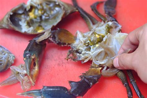 Slow Cooker Crab Aglio E Olio