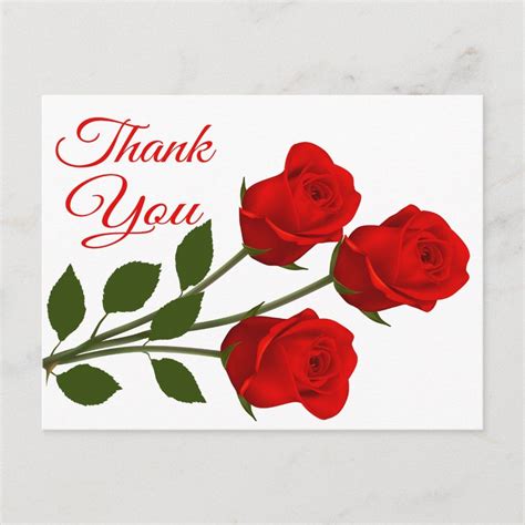 Red Rose Flowers Thank You Floral Postcard Zazzle Thank You Flowers